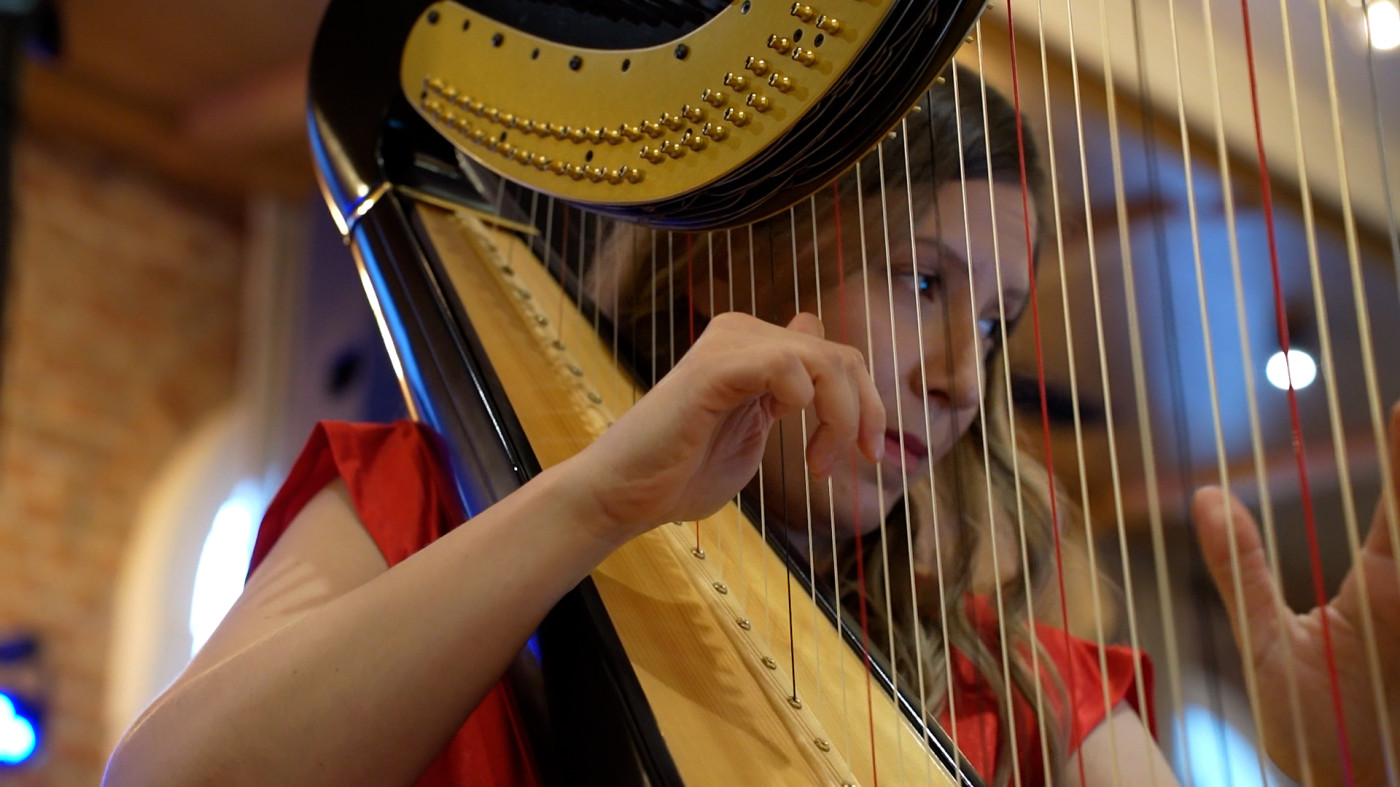 Harfa Rustic Belgrade Harpist (solo harfa) - cena nastupa - slobodni termini - kontakt