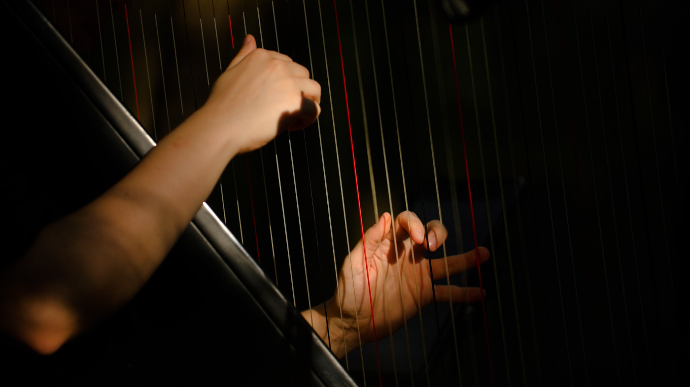 Harfa Rustic Belgrade Harpist (solo harfa) - cena nastupa - slobodni termini - kontakt
