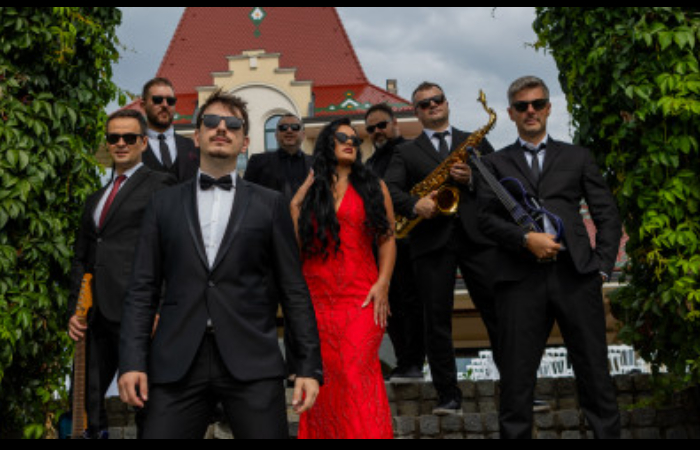 bendovi za svadbe - VIVO BAND